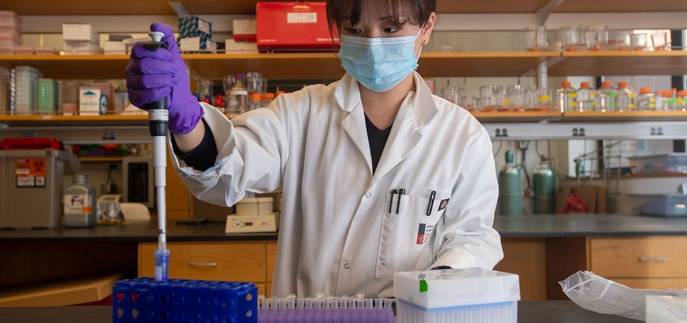 photo of Sunnie Kong (CAS’21) in a BU lab. She wears a white lab coat, blue PPE face mask, and purple surgical gloves as she pipes substances in the lab.