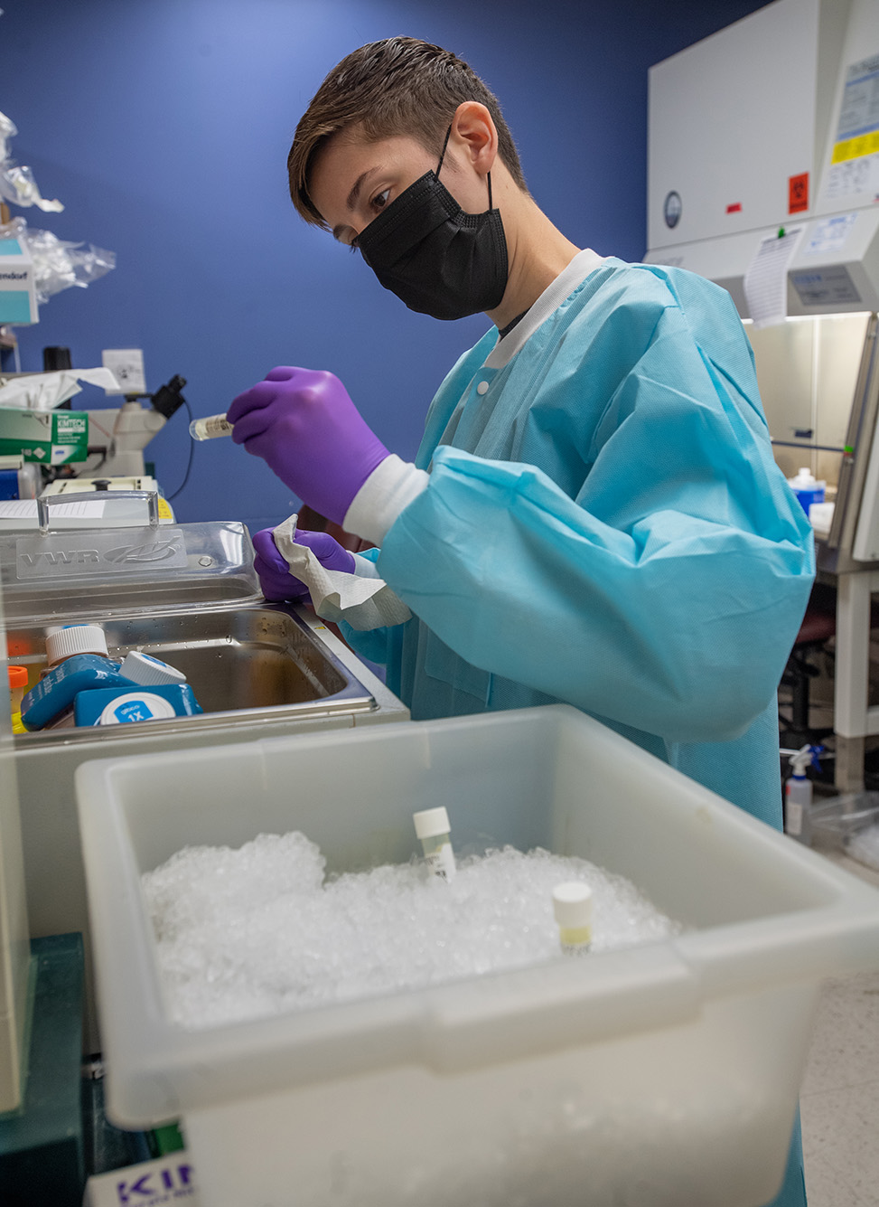 photo of Third year PhD student Jackie Turcinovic in the Connor Lab. She works, observing vials, and wears light blue PPE and purple gloves.