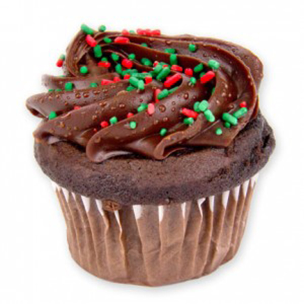 a chocolate cupcake with chocolate frosting and sprinkles