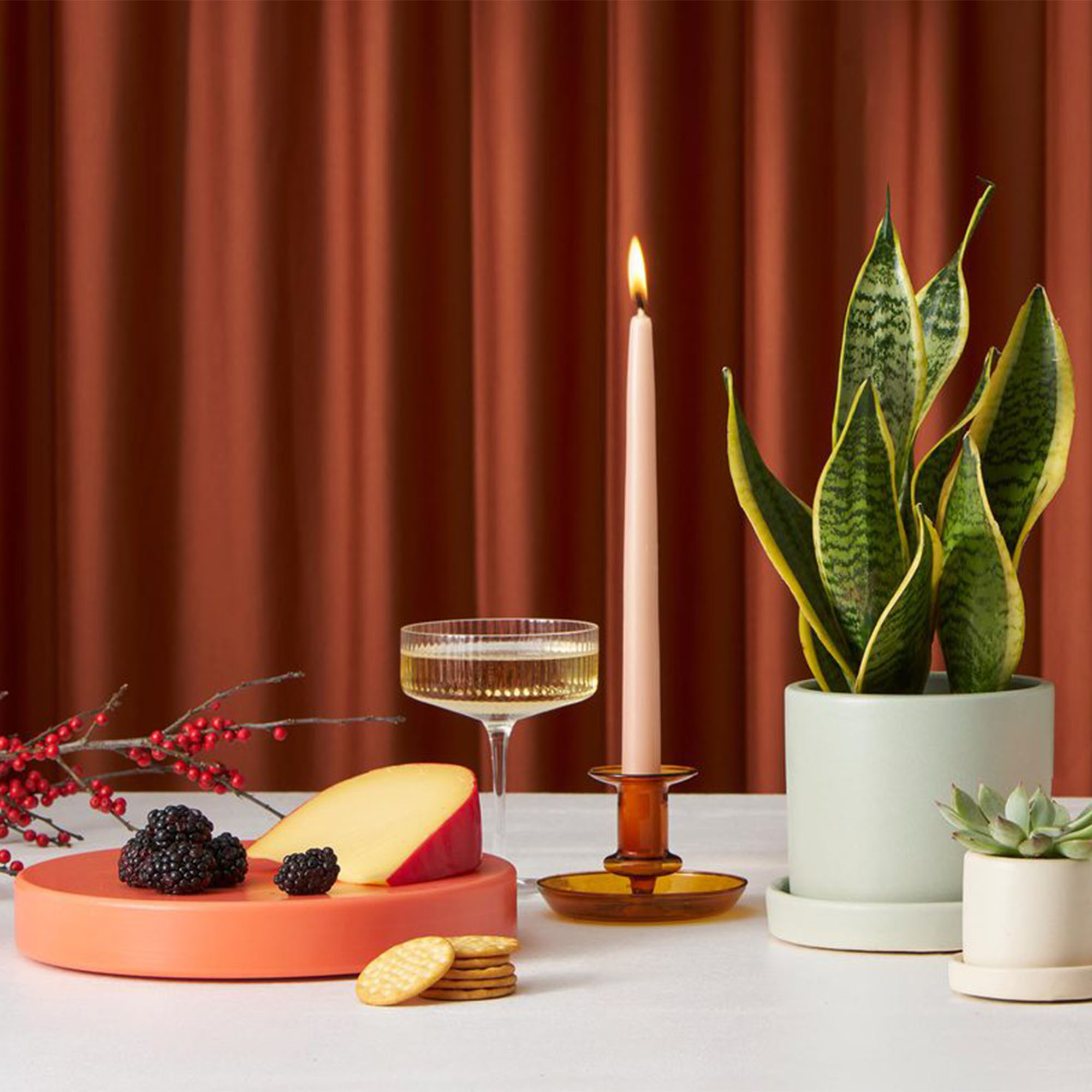 a snake plant, a candle, a cheese board, and a succulent on a white table with red curtain background