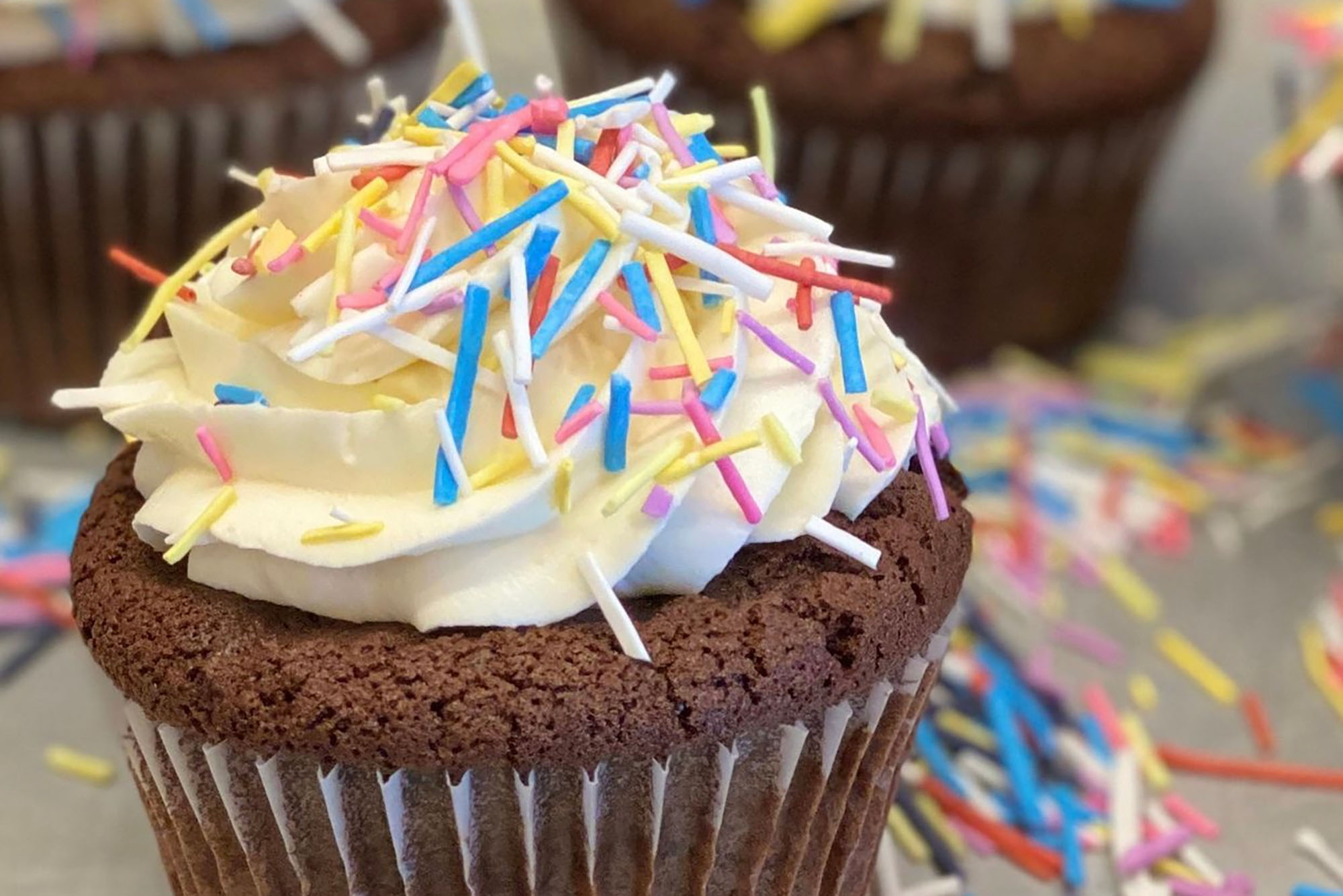 Photo of a chocolate cupcake with pastel, rainbow sprinkles from Flour Bakery.