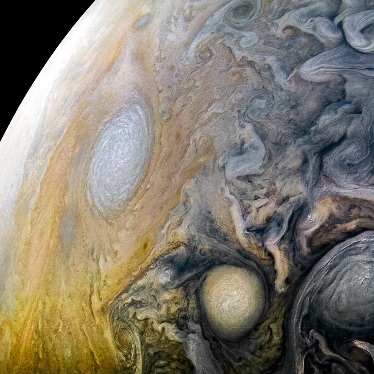 Stunning Close-Up Images of Jupiter, Its Storms, and a Dolphin Cloud The Brink Boston University photo