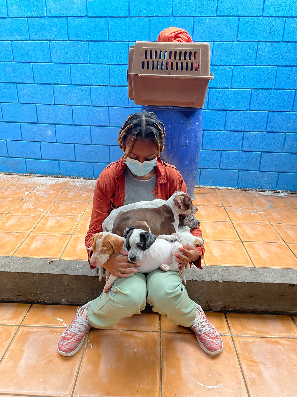 photo of Jaelyn Carr holding various breeds of puppies in her lap as she sits and looks down at them
