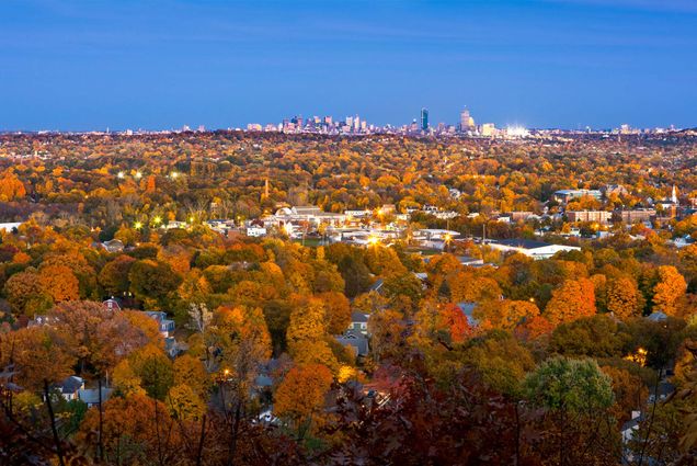 Boston's city skyline showcasing the greenery and trees in the foreground