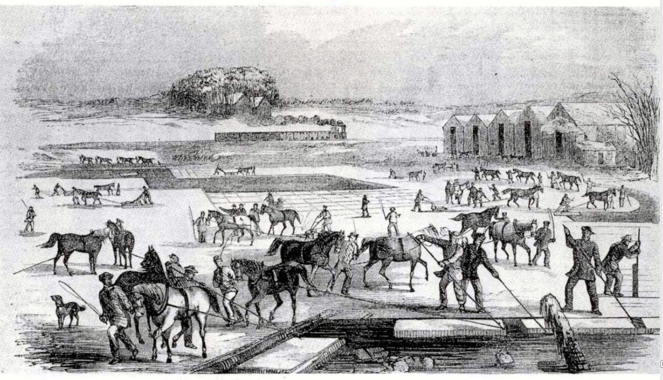 black and white pencil style illustration of people Ice Harvesting in a field in Massachusetts in the early 1850s