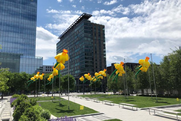 tall yellow daffodils in front of a large modern building