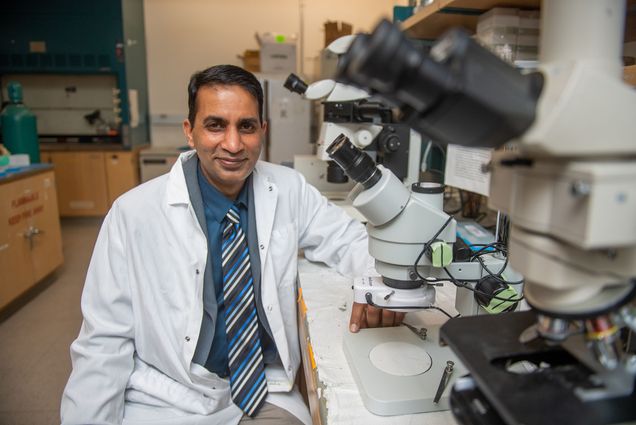 Photo of Lead researcher Manish Bais. A South Asian man wearing a blue collared shirt, blue tie, and white medical coat, sits in a chair in a research lab. He is turned and smiling towards the camera and sits in front of a large microscope.