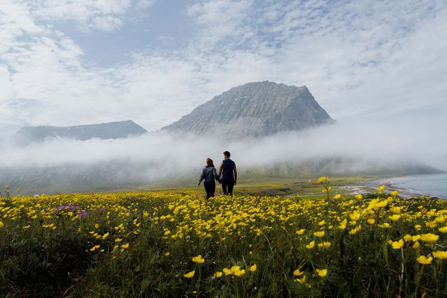 Photo of 2 people walking in the fjords of Iceland. A man and woman face away from the camera in a field of yellow flowers. They face large looming mountains in front of them covered by large low clouds.