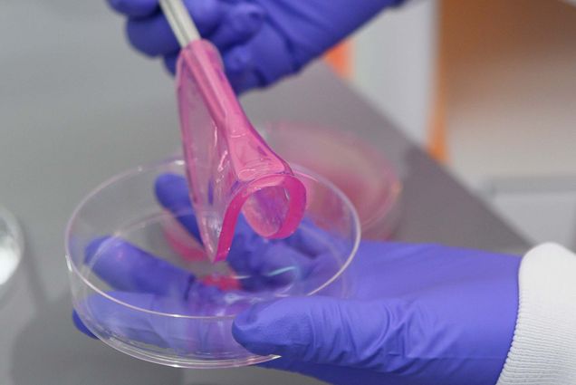 Photo of a person wearing lavender medical gloves using a small white stick to hold up a small, jelly-like circle that is pink in color from a small glass dish. Presumably this is one of what satellite bio calls "tissue therapeutics."