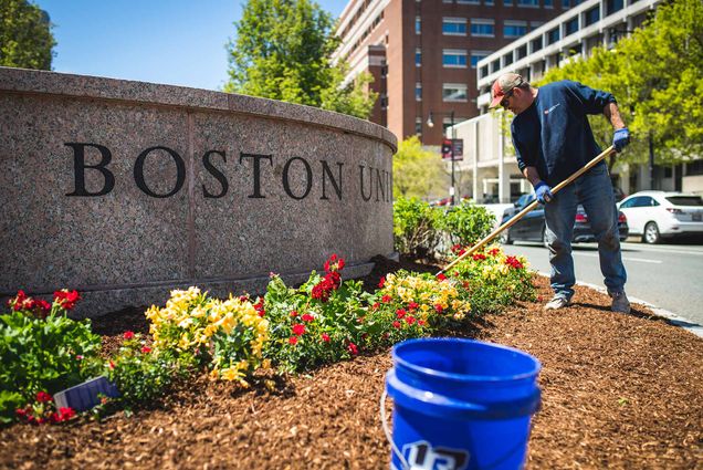 Photo of Bob Gilmartin of Facilities Management & Operations spreading mulch around the flowers in front of the granite Boston University at Kenmore on Tuesday, May 11, 2022. A blue bucket is seen in the foreground. Gilmartin wears a red and white cap, blue BU sweatshirt, jeans and gloves as he spreads the mulch with a wooden-handled tool.