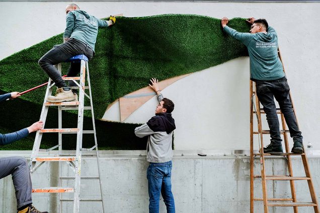 Photo of Arié Haddad helping to set up turf on wall. He stands on the ground as he helps hold up the turf for two others standing on ladders and attaching it to a cement wall.