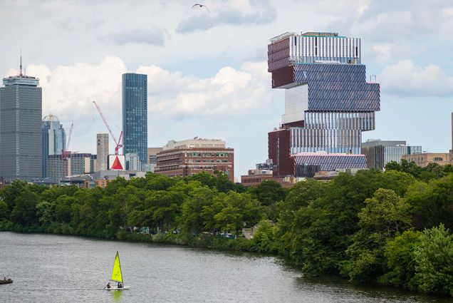 Photo of the Boston skyline as seen from the BU bridge. The reflective blue and reddish Center for Data Science features prominently at right. Bright green summer trees line the Charles River and the sky is a bit overcast. On the river, a small sunfish sailboat with a yellow-green sail is seen. A sea gull is seen flying at the very top of the photo. Cranes and the Prudential building are seen in the background.