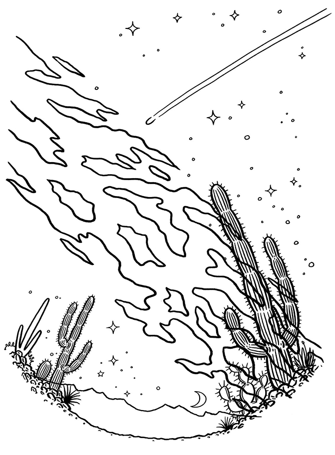 Image: A simpler drawing of a desert scene. A night sky and cacti are depicted with simple, clean line sketches