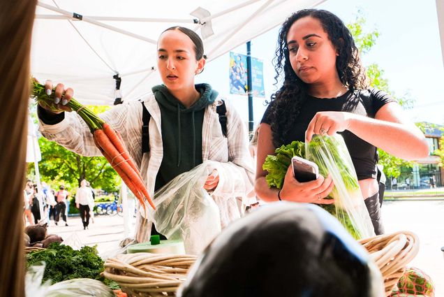 Photo: Amy Fam (CAS'25), (from left), and Lara Werneck (CAS'23) picking carrots and celery to purchase at the Farmer's Market on GSU Plaza. Two young women look at and hold vegetables on a table stand on a sunny day.