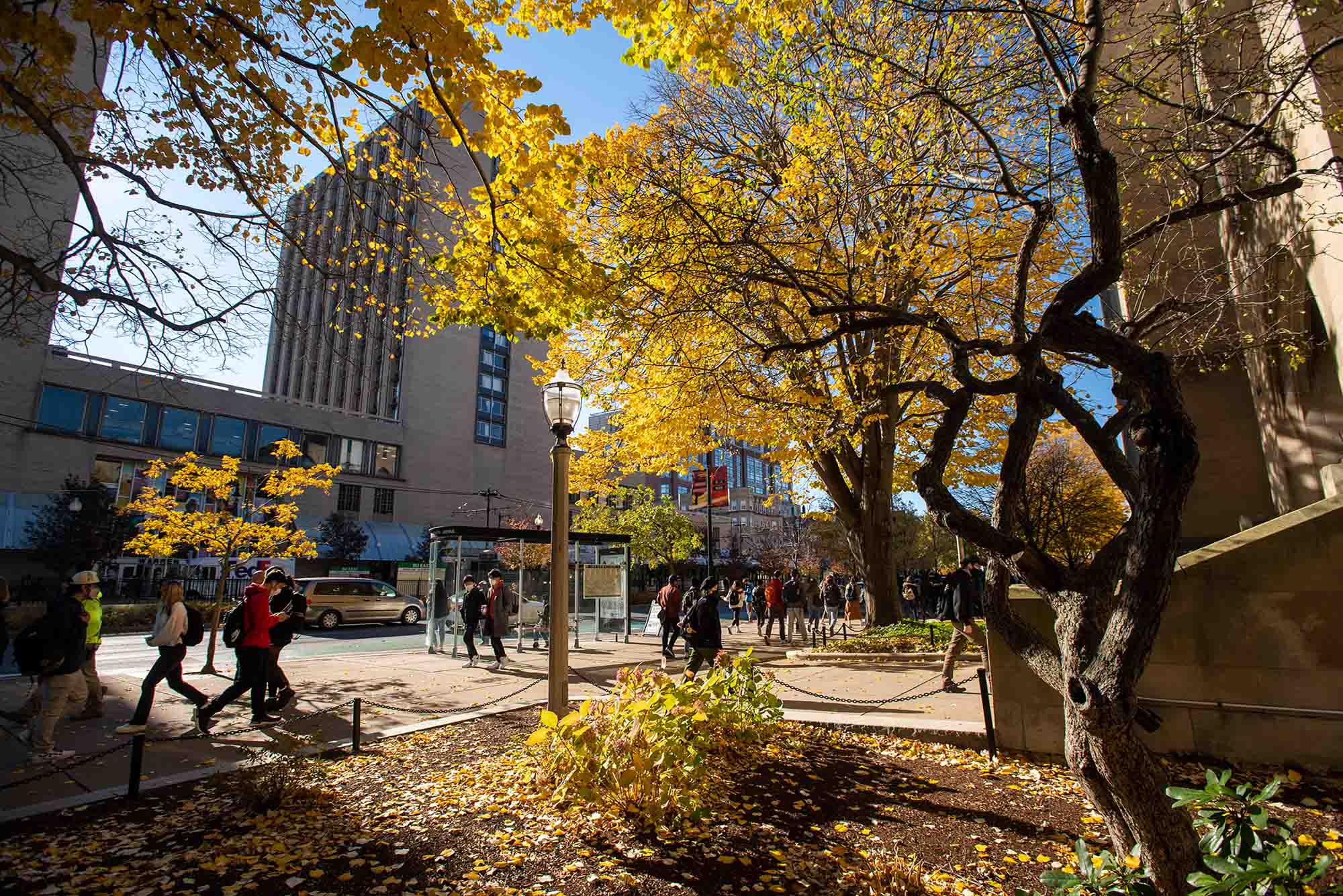 Photo: Fall stock photo of BU campus. Trees with orange and yellow leaves line the sidewalks of Comm Ave as pedestrians walk by the campus.