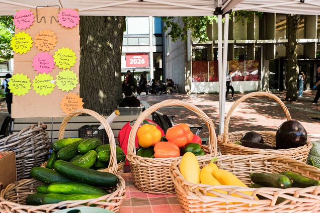 Photo: Various woven baskets filled with cucumbers, colorful bell peppers, and squash sit on a table in front of the George Sherman Union on BU's campus.