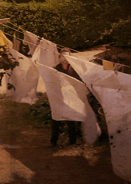 Halloween (1978) movie gif