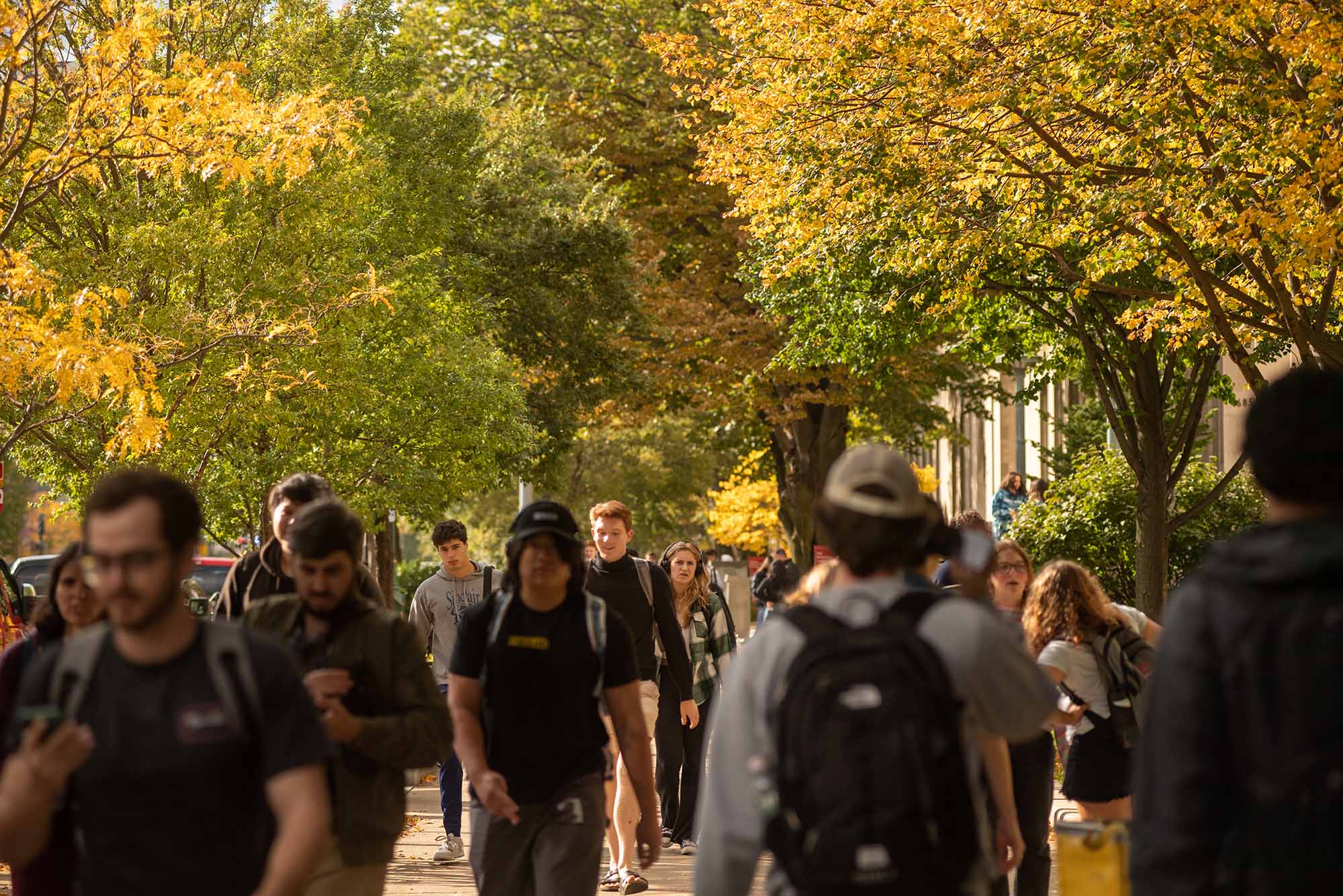 Photo: BU campus stock showing people walking up and down a street as yellow, orange, and red fall leaves line the trees and cover the skyline around them.