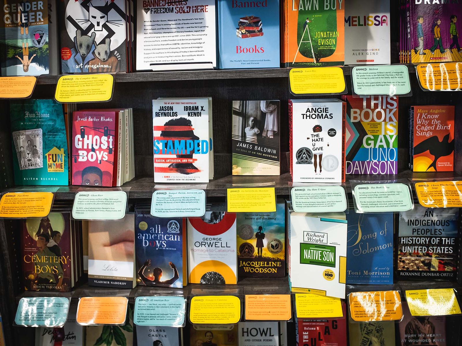 School Porn Pov - Want to Find a Banned Book? Brookline Booksmith Has Some on Display | BU  Today | Boston University