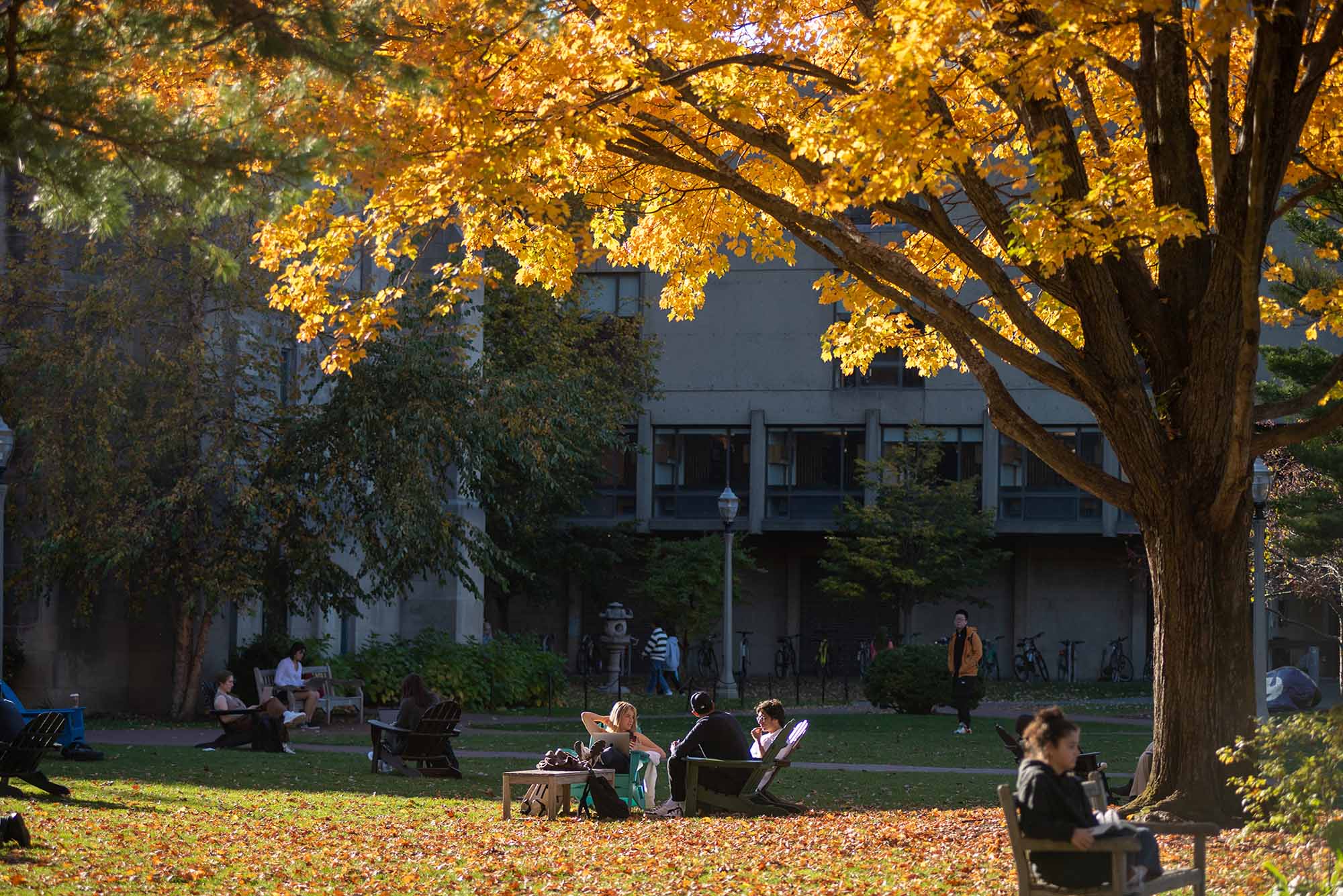 Photo: Fall stock photo of Boston University campus. Scene shows people hanging out and studying outside on a lawn. Yellow, red, and orange leaves fill the trees and litter the ground.