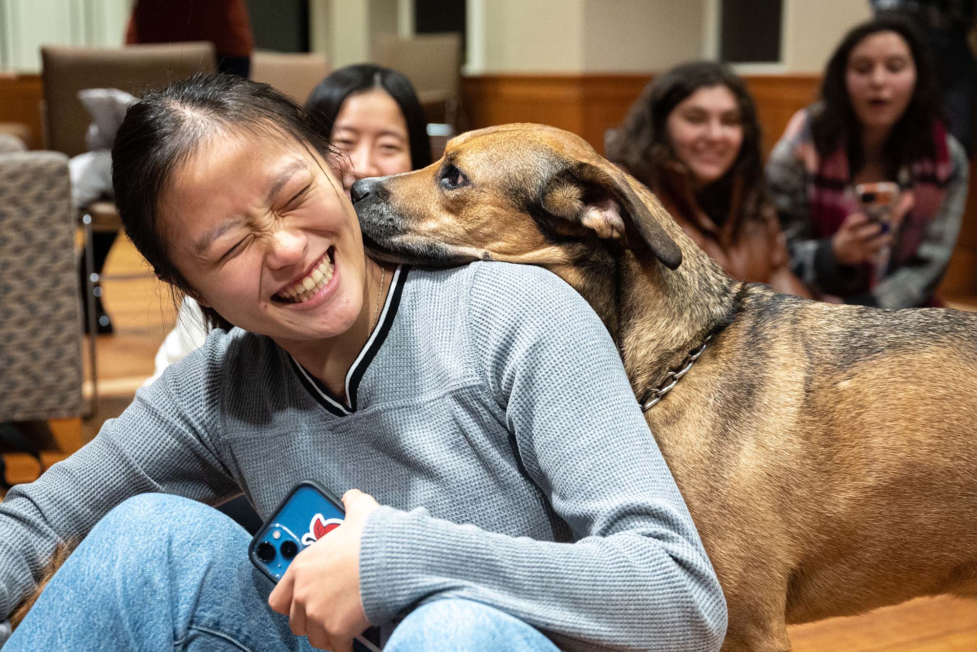Photo: Emily Feng (CAS ’23) is greeted by BU parent Kristin White’s dog Allie, a female 6-year-old hound mix. A dog sniffs at the face of a sitting young woman who smiles widely and scrunches her face.