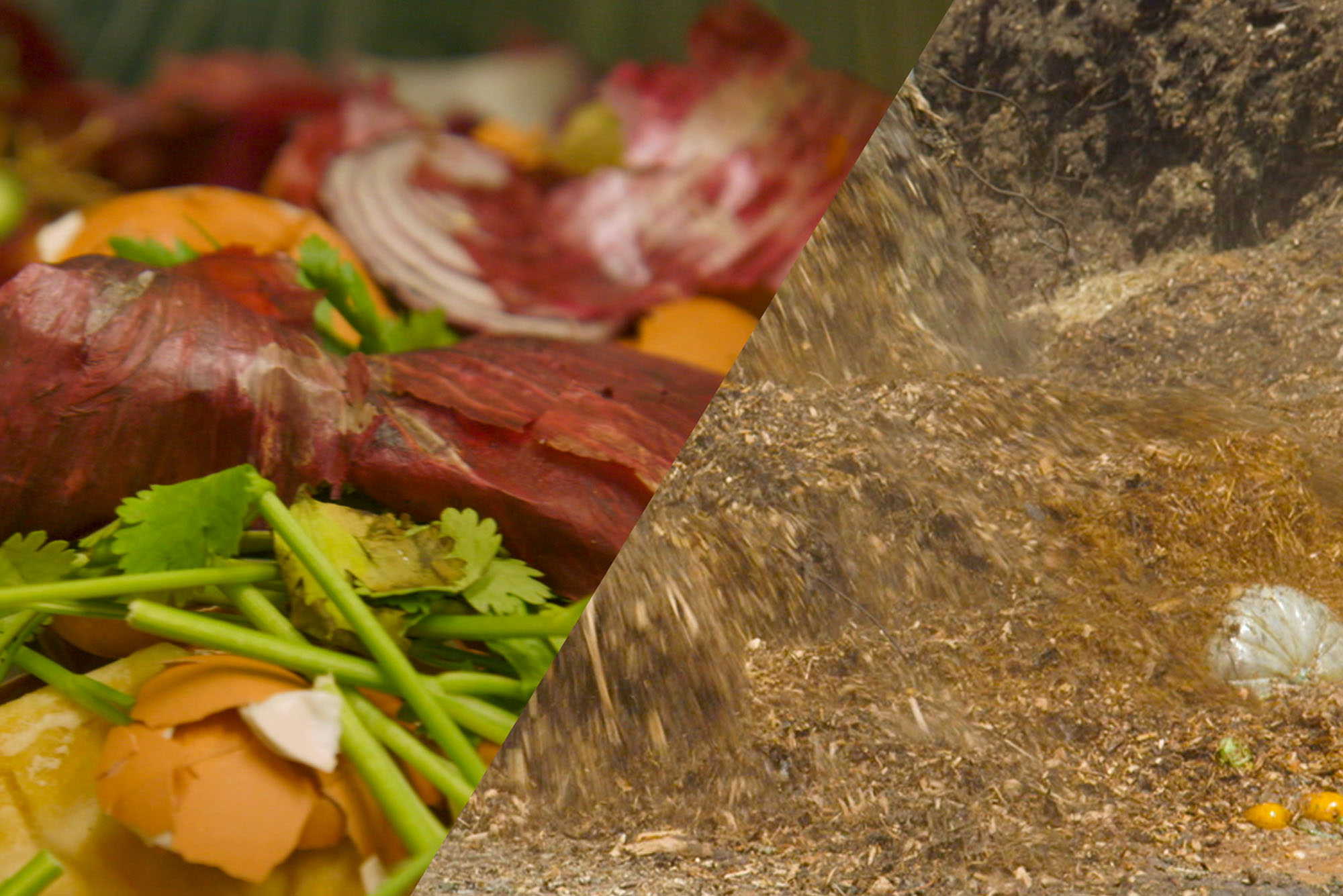 Collage: Left photo shows a pile of raw food including slabs of meat and veggies. The right photo shows piles of dirt. The photos are split diagonally in the middle.