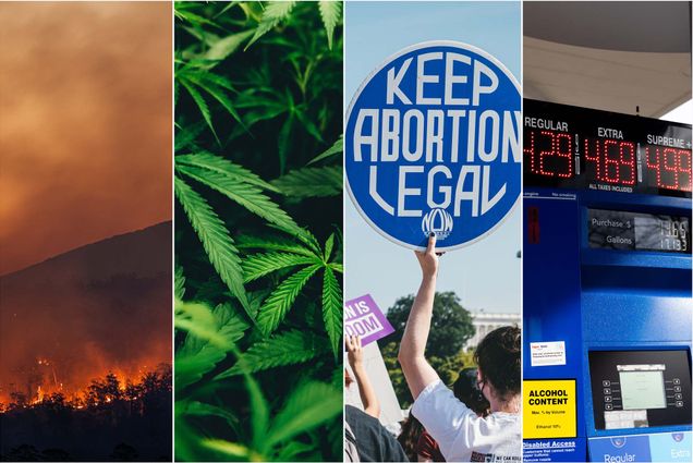 Collage: (from left to right) Photo of a raging wildfire, marijuana leaves, A protestors holding up a blue sign that reads "keep abortion legal", and a gas station pump showing high gas prices are shown to illustrate some of the issues being debated in the midterms.