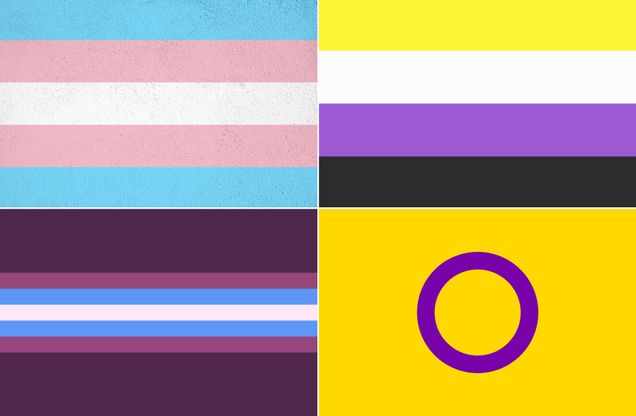 transgender flag (top left), nonbinary flag (top right), gender non-conforming flag (bottom left), intersex flag (bottom right)