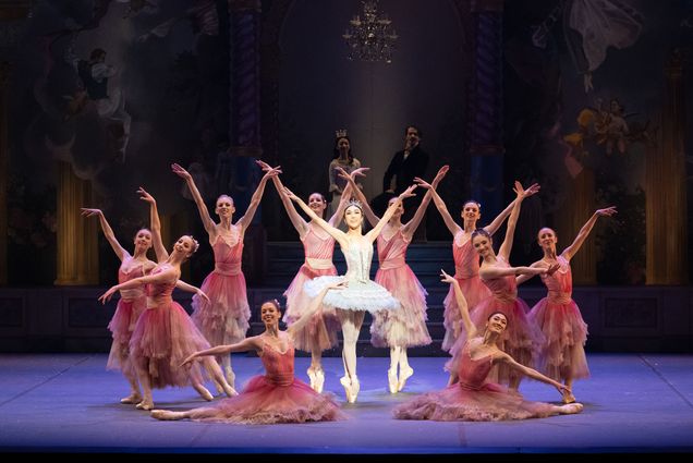 Photo: A group of ballerinas wearing tuts pose and dance in the center of a stage. The spotlight is on the center ballerina, who wears a white tutu. Other ballerinas all wearing matching pink tutus dance around her.