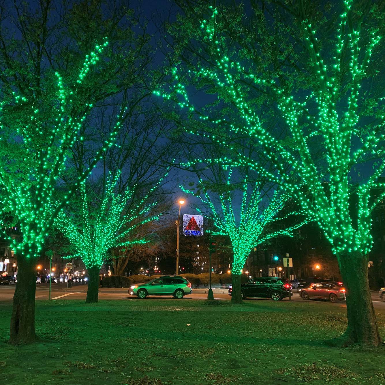 Nighttime in a city park with a main road in the background. The park is accompanied with four trees which are wrapped with green-glowing string lights.