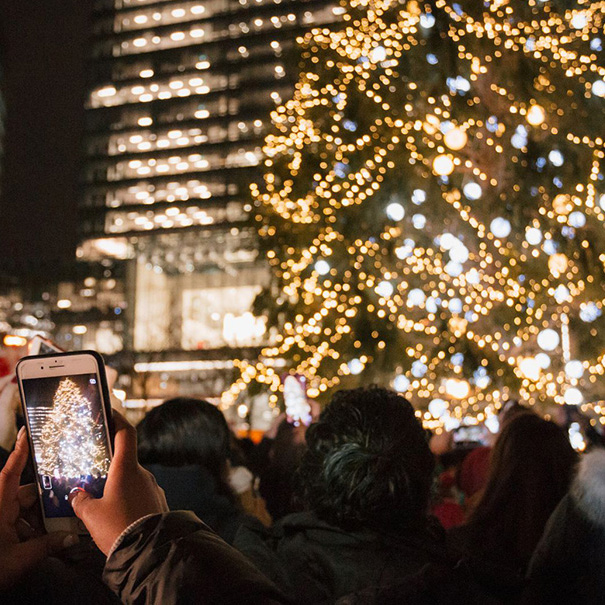 Photo: A crowd of people watch as an enormous tree is lit up with Christmas lights. Many of them hold phones up to takes photos and videos. One person's screen can be seen showing the full length of the decorated and lit tree.