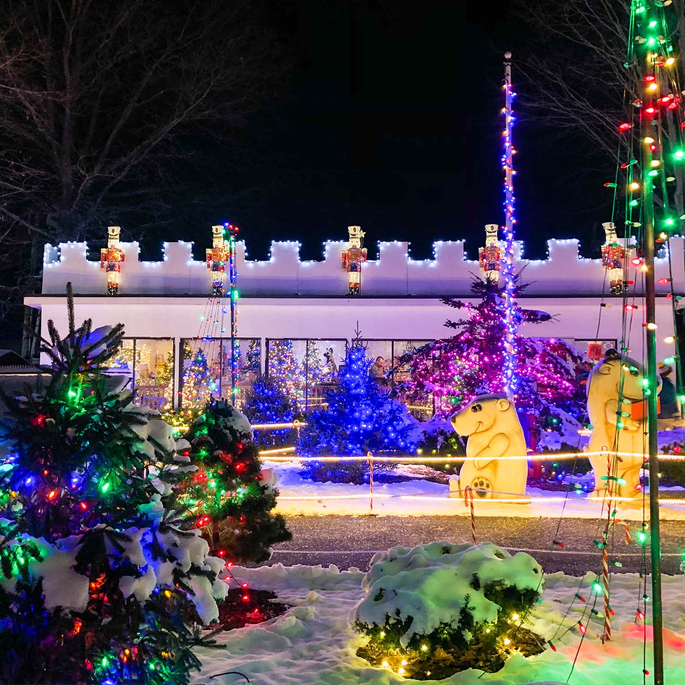 A tight-framed picture of the ZooLights. They feature a child-size wooden bear sitting down, and various bushes in the fore and background wrapped with string lights. The lights in the foreground are red and green while the lights in the background are blue and purple. The ground and the bushed are covered with a nice pile of snow.