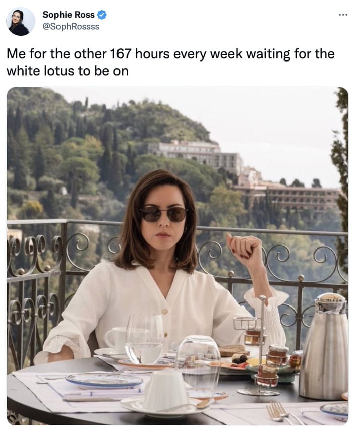 memes2022