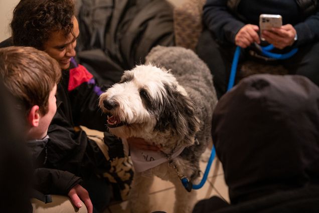 Photo: A medium-sized, long-haired white and grey dog looks on happily as students sit around it and pet it.