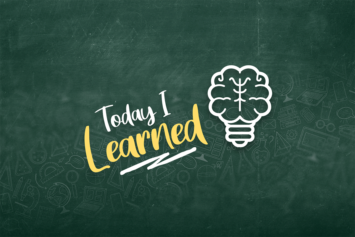 An animated gif with a lightbulb shaped like a brain flickering on and off. The text reads "Today I Learned"