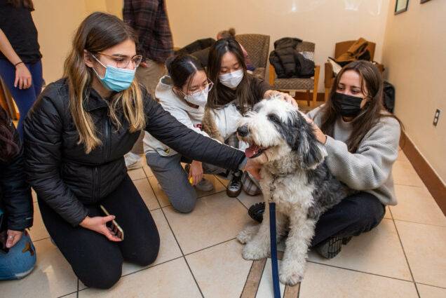 Photo: A image of four individuals circled around a black and white fluffy dog petting him. They are all wearing masks, have various comfy clothes on, and are kneeling to be close to the dog. The dog has on a leash, and is looking to the left of the camera, his mouth open as he pants.