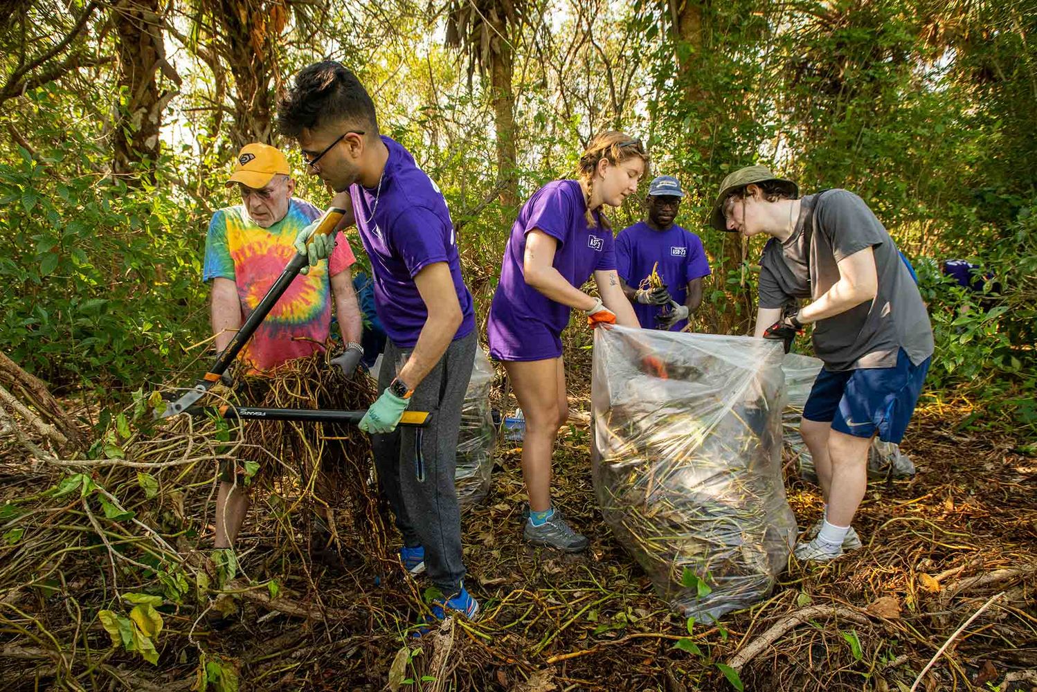 Photo: Trip chaperone and BU Residence Hall Director Tim Hegan, from left, trip coordinator Rohin Bajaj (ENG’25), Chloe Rowan (CAS’25), InihAbasi Sunday (CAS’24), and trip coordinator Ari Burns (CAS’25) pull invasive arrowhead vine from an area of The Nature Conservancy which borders a resident’s property as part of their Alternative Spring Break work March 8. A group of young adults wearing purple shirts and pants hold and fill a large bag of dried grass. Various other students cut shrubs and brush with large cutters. An older white man wearing a rainbow tie-dye shirt helps with the gathering.
