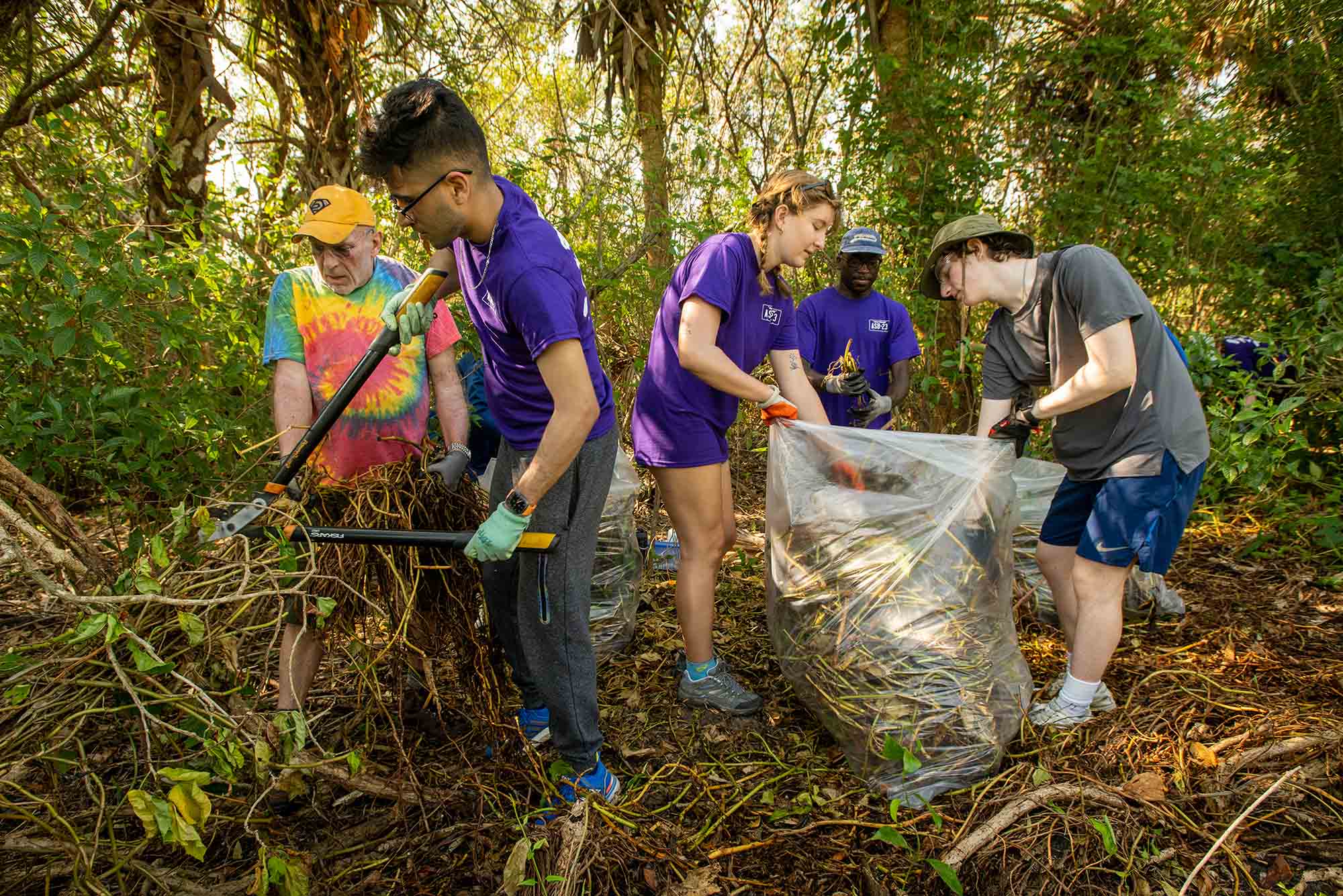 Photo: Trip chaperone and BU Residence Hall Director Tim Hegan, from left, trip coordinator Rohin Bajaj (ENG’25), Chloe Rowan (CAS’25), InihAbasi Sunday (CAS’24), and trip coordinator Ari Burns (CAS’25) pull invasive arrowhead vine from an area of The Nature Conservancy which borders a resident’s property as part of their Alternative Spring Break work March 8. A group of young adults wearing purple shirts and pants hold and fill a large bag of dried grass. Various other students cut shrubs and brush with large cutters. An older white man wearing a rainbow tie-dye shirt helps with the gathering.