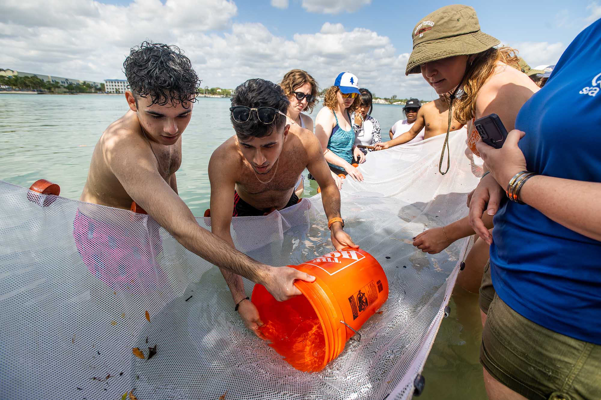 Photo: Two tan young men wearing swim trunks carefully scoop up fish in a net held up by other volunteers into a large, orange bucket.