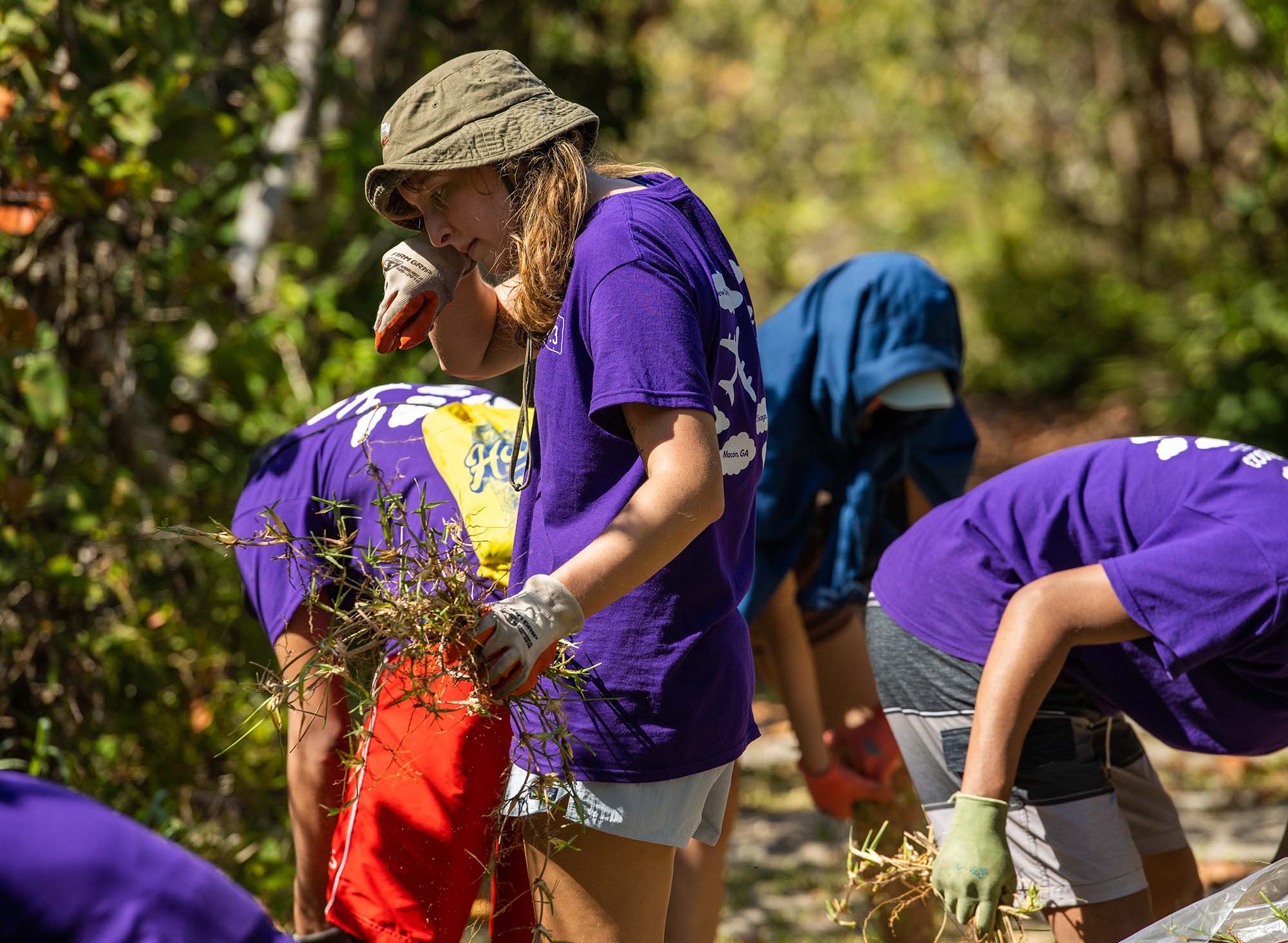 Photo: A young white woman wearing a purple shirt and grey bucket hat is pictured pulling invasive St. Augustine grass from a Blowing Rocks Beach path. Other students in similar purple shirts do the same around her.