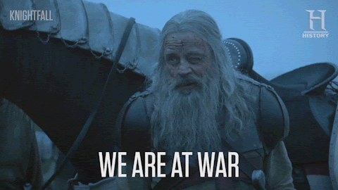 This is a GIF of a medieval looking character, wearing armor on his body. He has long grey hair and a long grey beard with a armored horse behind him. He is speaking, saying "we are at war," as he is raising his eyebrows. There is a closed caption on the image, that wrote out what he is saying.
