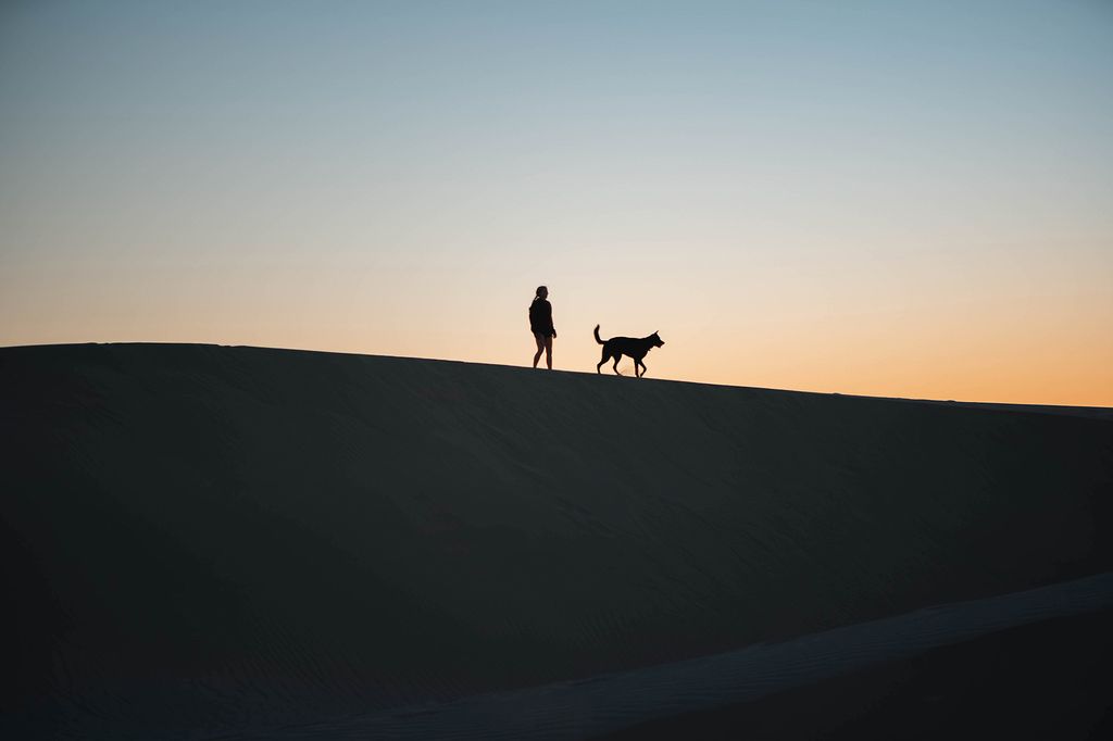 Photo: Atop undisturbed sand dunes, the photo captures the simple beauty of a quiet moment shared between a girl and her dog during sunset. The shadowy figure of the dog is shown leading the shadowy figure of the girl along on the black dune. 