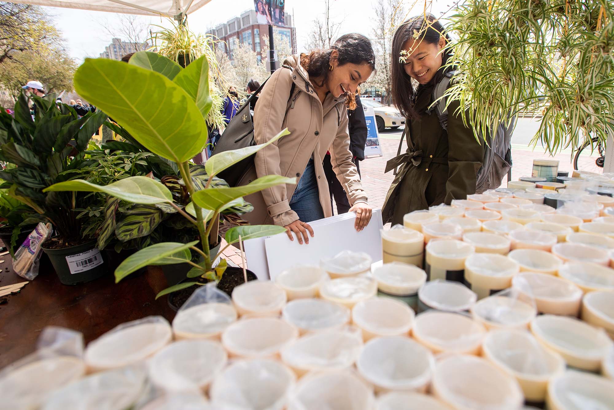 Photo:Joshita Manohar (CAS’240, left, and Esther Gilbert (CAS’22) look through their poster options at the Happy Cactus gifts tents during BU’s annual Earth Day Festival not he GSU Plaza. A young South Asian woman wearing a tan jacket and a young Asian woman wearing a black jacket smile as they look through posters. Next to them, a large variety of green plants is displayed.