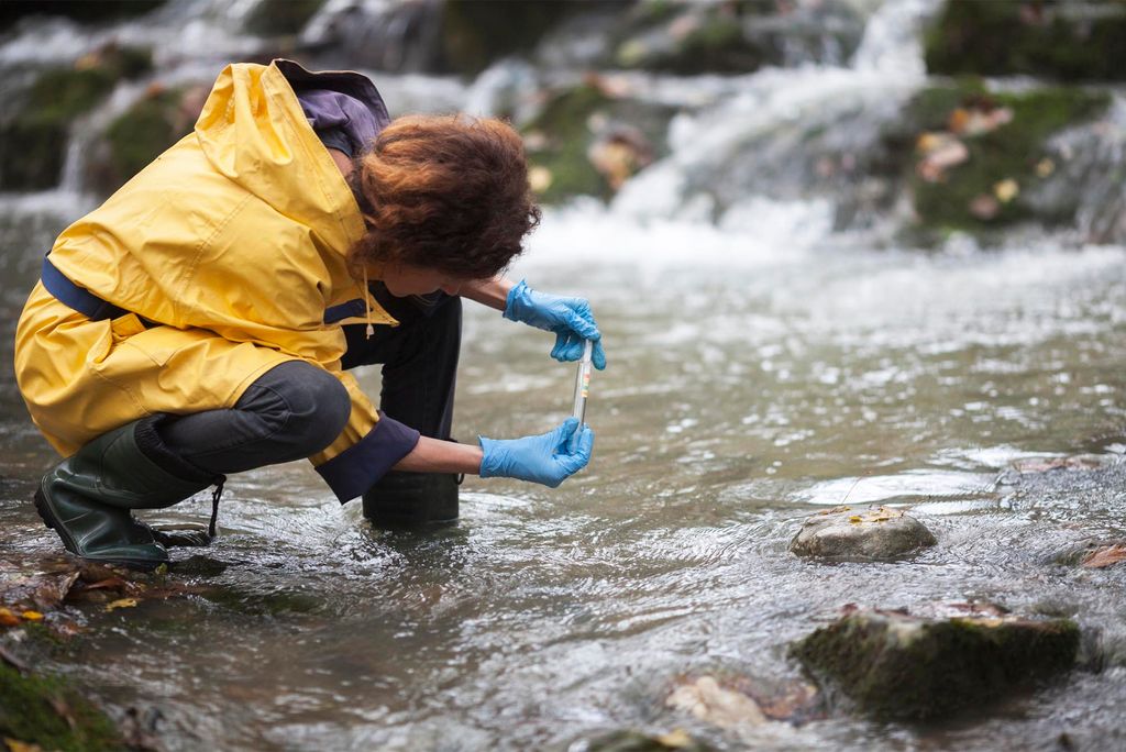 Photo: An Ecologist in a yellow raincoat Taking a Water Sample in the Forest