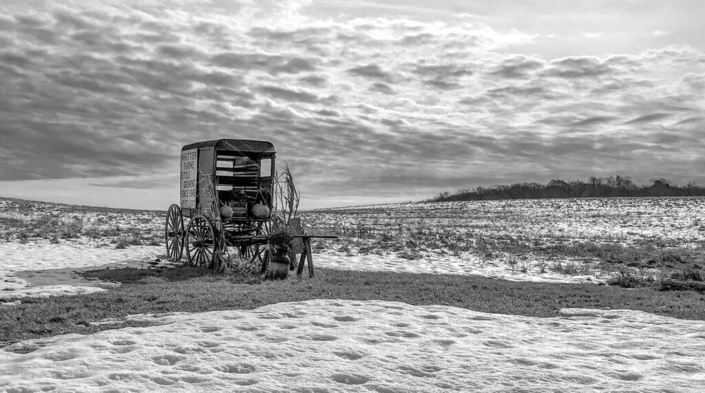 Photo: Black and white photo of an old, abandoned cart in a deserted field. Image leaves a lasting, desolate effect.