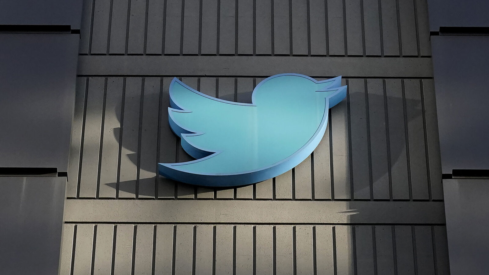 POV: Why I Left the Bird: NPR, Twitter, and Disinformation | BU Today |  Boston University
