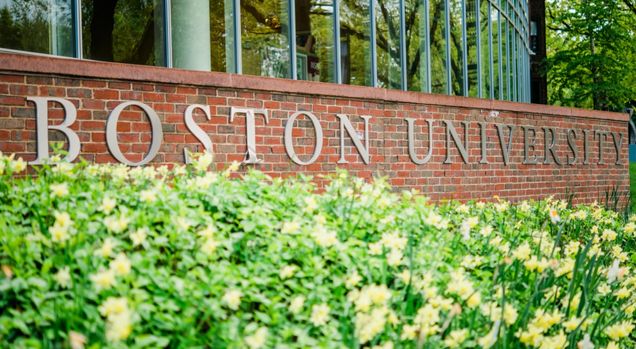 This is a photo of a short brick wall that says "Boston University" on it in grey lettering. In front of the wall are yellow flower bushes that are contrasted with bright green leaves.