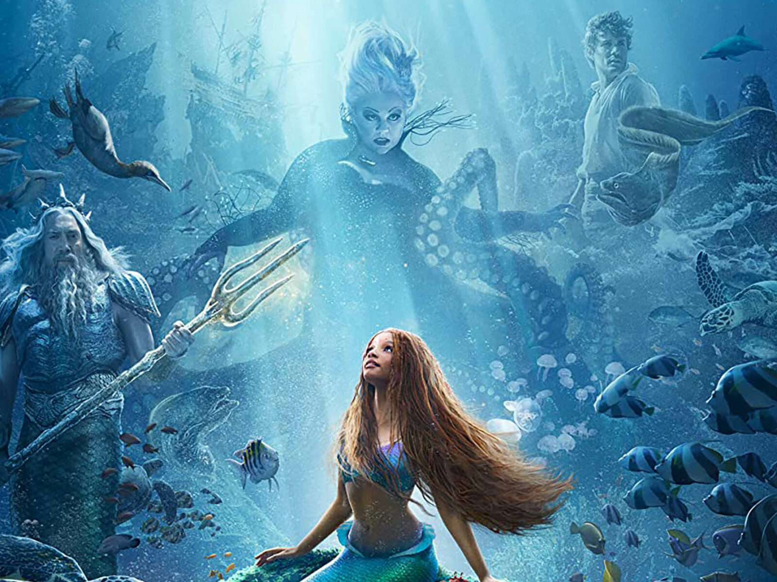 2023 The Little Mermaid 4k HD Movies 4k Wallpapers Images Backgrounds  Photos and Pictures
