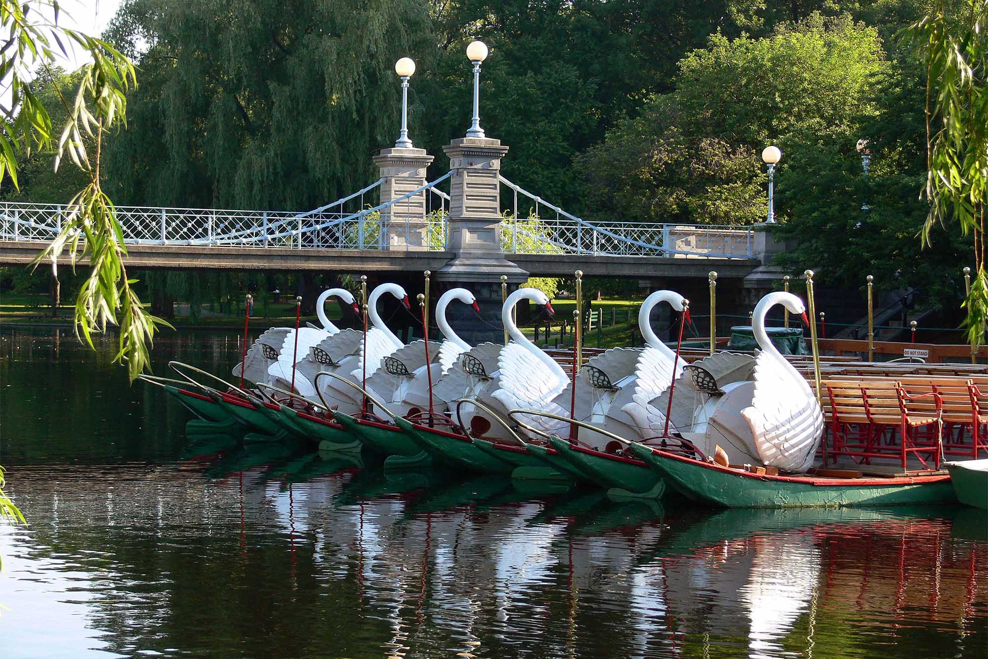 Photo: Swan Boats in Boston Public Garden, graced by the golden hour sun