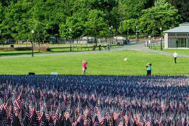 Photo: People wander around Boston Common on a sunny spring day. Hundreds of United States flags flutter in the breeze in the foreground, as bity skyscrapers rise in the distance.